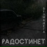 радостинет