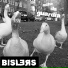 Bislers