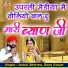 Gokul Sharma, Sonu Gurjar
