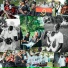 Xeeboy Tino, Maestro22, Coxeboy77