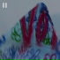 Voi
