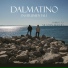 Dalmatino