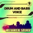 Drum and Bass Voice