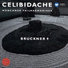 Munich Philharmonic Orchestra, Sergiu Celibidache