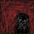 shadowmire
