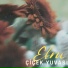 Ebru