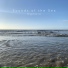 Sounds of the Sea