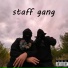 f3rro, SSV