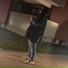 Marou, ALLiCE
