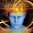 Awaken Your Mind