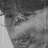 JunSangGeun