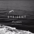 Dyrigent