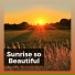 Essential Nature Sounds