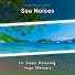 Wave Noises, Ocean Sounds, Nature Sounds