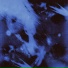 whiteback