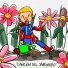 Solcito