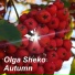 Olga Sheko