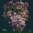 Xrisma