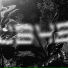 Neta Noise