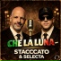 Stacccato, DJ Selecta