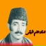 Alam Shawqi