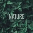 lethal naivety