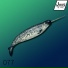 Sterfry