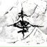 3pAngel, phuneral2000
