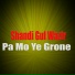 Shandi Gul Wazir