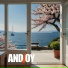 AndJoy