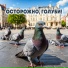 То-шик feat. MCJ