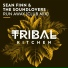 Sean Finn, The Soundlovers