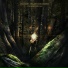 Follow the White Rabbit