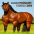 Príncipe Don