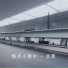 喵步小雨中