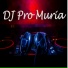 DJ PRO MURIA