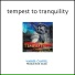 Non-Stop Music(Tempest To Tranquility)