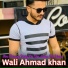 Wali Ahmad khan