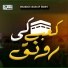 Shakeel Ashraf Qadri