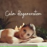 Wellness Spa Music Oasis