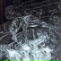 Burdo: :Bardo
