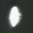 SAYFEAR