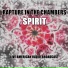 Spirit