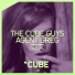 The Cube Guys, Agent Greg housedownload.com