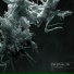 Enkephalin