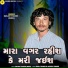 Sanjay Thakor Unjha