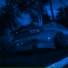 royf1
