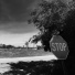 Hopson Road