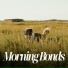 Puppy Music