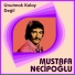 Mustafa Necipoğlu